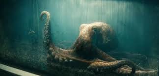 She didnt deserve the fate she got! : rTheBoys