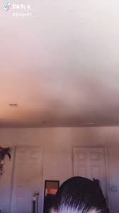 @soylolareys video Tweet