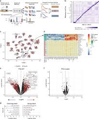 A design view is created in the assembly environment and preserves a designated representation view of assembly components. Multiplexed Single Cell Transcriptional Response Profiling To Define Cancer Vulnerabilities And Therapeutic Mechanism Of Action Nature Communications