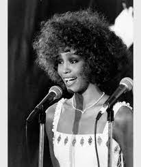 This is the new ebay. Whitney Houston Wirbel Um Foto Der Leiche Im Offenen Sarg Leute Bild De