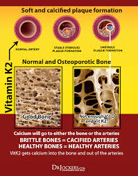 Vitamin k2 can help prevent heart disease, improve bone health, reduce the risk of osteoporosis, improve teeth health, and may even doctor's best is a highly trusted vegan supplement brand and they don't disappoint with these vitamin k2 capsules. 4 Best Vitamin K2 Supplement Products Of 2019 K2 Benefits Food List