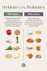 Prebiotics vs. Probiotics: What's the Difference? - Stephanie Kay Nutrition