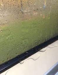 結露潮濕篇5個解答室內窗溼答答的方法 homemesh居家市集