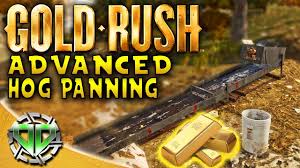 Gold Rush The Game Advanced Hog Panning 40 Ounces Of Gold Pc Lets Play Youtube