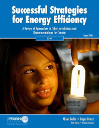How can Tanzania make the most of new mini-grid and other energy access  investments to catalyse local enterprises, jobs and incomes in poor rural  communities?