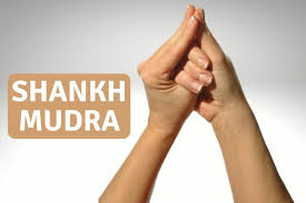 Mudras are very powerful tools and can have immense healing affects once we bring awareness into the subtle layers of the energy body. Shankh Mudra Conch Shell Gesture Steps Benefits Duration Side Effects Fitsri