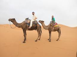 Camels are one of the animals that you see everywhere in morocco, especially in the sahara desert. 3 Weeks In Morocco Morocco Itinerary And Travel Guide Gypsy Sols