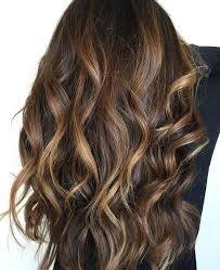 Caramel Highlights For Dark Hair Daily Dry Shampoo Pins The Best Brunette Hair Inspiration Brunettehai Dark Hair With Highlights Balayage Hair Color Balayage