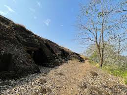Kenheri Caves + Lion Safari ...