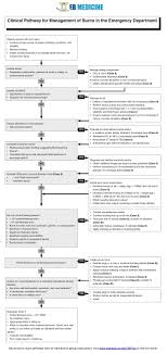 Emergency Medicine Cme Evidence Based Excellence Eb Medicine