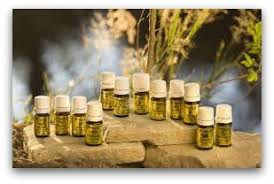 12 Oils of The Bible