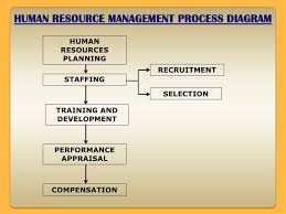Chapter 5 Human Resources Management And Staffing