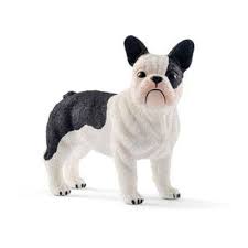 Supporting education, welfare and french bulldog rescue in ontario, quebec and the atlantic provinces of canada since 2009. French Bulldog Rescue Rehome Nz Home Facebook