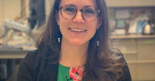 Researchers study canines' influence