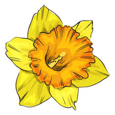 Free Free 127 Narcissus Flower Svg SVG PNG EPS DXF File