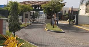 For the last 20 years, the albanian mafia has become one of the most powerful criminal structures in the world. Albanian Mafia Leaves Trail Of Blood In Ecuador Insight Crime