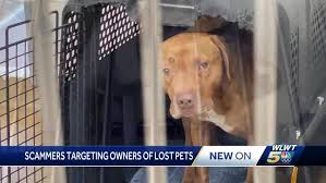 Ohio animal shelters warn of scammers targeting pet owners