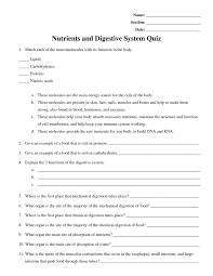 Page 1 12 6 Digestive System Quiz Doc Digestive System Biology Worksheet Science Biology