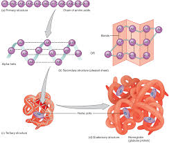 Protein Super-Secondary Structure And Quaternary Structure Topology:  Theoretical Description And Application - Sciencedirect