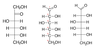 Maybe you would like to learn more about one of these? Iii Carbohydrates Structures And Types A Guide To The Principles Of Animal Nutrition