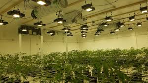 Maybe you would like to learn more about one of these? Custom Grow Lights Circuit Boards Led Arrays Colors Spectrum