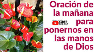 Oracion De La Manana Para Ponernos En Las Manos De Dios Youtube Mi dios, en quien confiaré. ponernos en las manos de dios