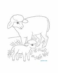 Want to create a theme around these sheep coloring pages? Mother Sheep With Baby Lamb Coloring Page To Print Free Printables