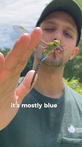 Batson Independent Education