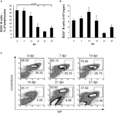 Check spelling or type a new query. Frontiers Immunosuppression In Experimental Chagas Disease Is Mediated By An Alteration Of Bone Marrow Stromal Cell Function During The Acute Phase Of Infection Immunology