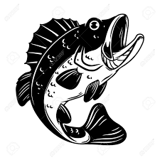 Videos from the livewell, basscam, angler interviews & more!> Illustration Of Bass Fish Big Perch Perch Fishing Design Element For Logo Emblem Sign Poster Card Banner Vector Illustration Royalty Free Cliparts Vectors And Stock Illustration Image 157295204