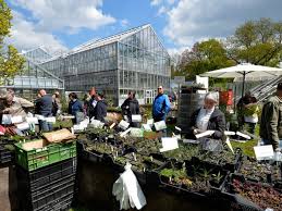 Leipziger Fruhjahrspflanzenmarkt Im Botanischen Garten Leipziginfo De