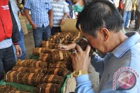 We did not find results for: Harga Tembakau Di Temanggung Tembus Rp150 000 Per Kilogram Antara News