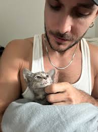 little girl looking for home ❤️😺 Found this tiny sweet kitten in my yard  few weeks ago sleeping behind the door every night. She was so small and  weak compared to the