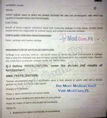 1st Year Mbbs Anatomy Solved Past Papers Medic Portal Online Medical Portal For Medical Students Past Papers Solving Anatomy