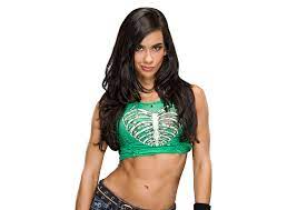 Aj Lee Aj Lee Wwe S High Neck Bikinis