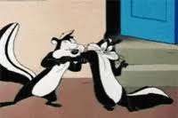 We did not find results for: Pepe Le Pew Gifs Get The Best Gif On Giphy
