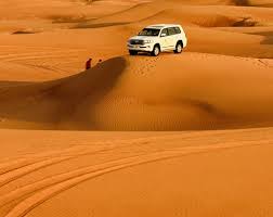 "Silence, Luxury & Adventure: Inside the Best Private Desert Safari Experiences"