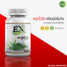 เก๋ากี้(โกจิเบอร์รี่)ที่มานำสกัดเป็นตัวยานั้นมีประวัติความเป็นมายาวนานกว่า 2000 ปีแล้ว เนื่องจากเป็นยาที่มีสรรพคุณนานัปการ ประโยชน์เก๋ากี้. à¸žà¸¥ à¸„à¸²à¸§ Ex à¸žà¸¥ à¸„à¸²à¸§ à¸­ à¹€à¸­ à¸à¸‹ à¸ªà¸¡ à¸™à¹„à¸žà¸£ à¸­à¸²à¸«à¸²à¸£à¹€à¸ªà¸£ à¸¡ à¸ª à¸™à¸„ à¸²à¹€à¸ž à¸­à¸ª à¸‚à¸ à¸²à¸ž Herb2you Com Inspired By Lnwshop Com