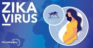 Mar 02, 2015 · the first large outbreak of disease caused by zika infection was reported from the island of yap in 2007. The Challenges Of Accurate Zika Virus Testing Microbiologics Blog