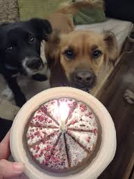 Happy birthday Millie! ☺️🎂🥳