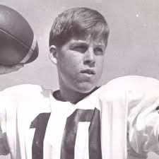 Jerome Felton (2013)