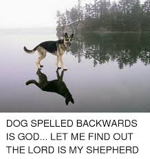 Mommy mommy, did you know dog spelled backwards is god? Vers Dog Spelled Backwards Is God Let Me Find Out The Lord Is My Shepherd Let Me Find Out Meme On Me Me