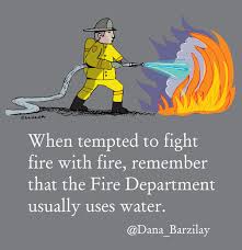 Learn more about fight fire with fire. No 189 Dana Barzilay Neatorama