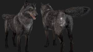 Some of these 3d models are ready for games and 3d printing. Wolf Free 3d Model In Wildlife 3dexport