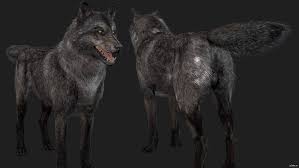 Maybe you would like to learn more about one of these? Wolf Free 3d Model In Wildlife 3dexport
