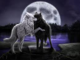 Epingle Par Candy Leblanc Sur Loups Et Garou Loup Dessin Loup Garou Images Loup