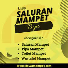 Privacy policy for anugerah jasa. Jasa Saluran Mampet Semarang Mampetsemarang Twitter