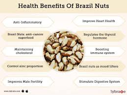 The wooden pods (brazil nut coconut) contain the delicious seeds called brazil nuts. Benefits Of Brazil Nuts And Its Side Effects Lybrate