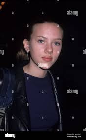 T rex back cretaceous hi-res stock photography and images