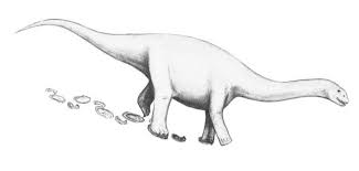 Long Necked Dinosaurs Rotated Their Forefeet To The Side Long Neck Dinosaur Dinosaur Footprint Large Animals